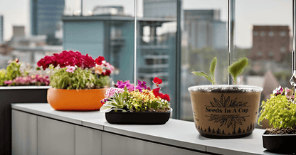 Jalapeño Plant Grow Kit | Seeds In A Cup® | Seed Germination Kit grow kit by Seeds In A Cup - Plant GRow Kit Tree GRow Kit Seed