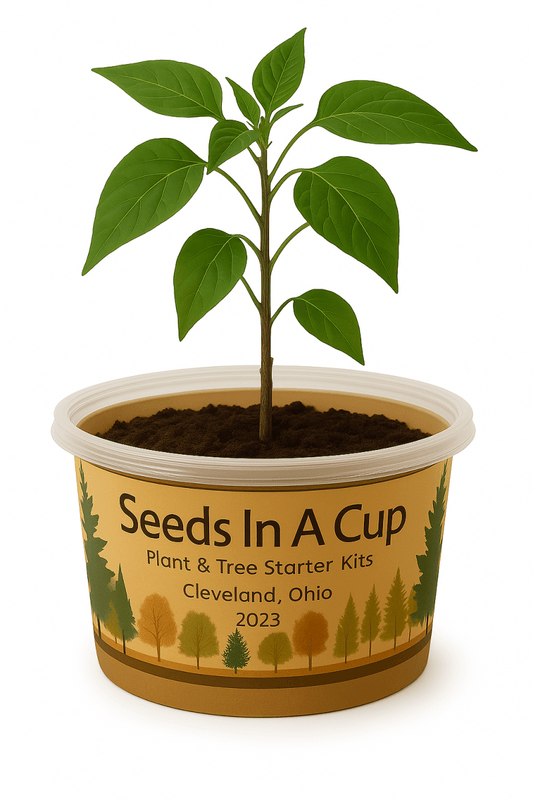 Jalapeño Plant Grow Kit | Seeds In A Cup® | Seed Germination Kit grow kit by Seeds In A Cup - Plant GRow Kit Tree GRow Kit Seed