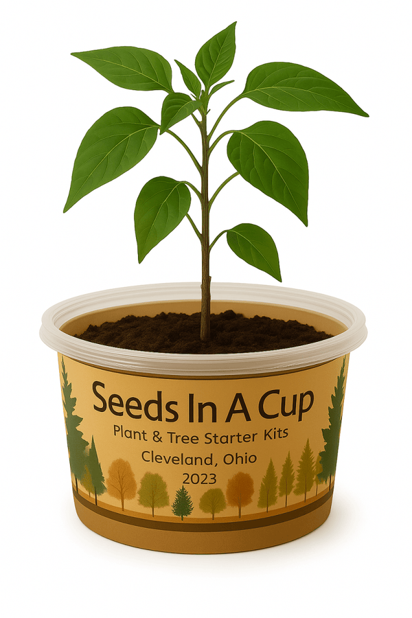 Jalapeño Plant Grow Kit | Seeds In A Cup® | Seed Germination Kit grow kit by Seeds In A Cup - Plant GRow Kit Tree GRow Kit Seed