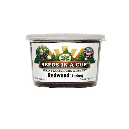 Seeds in a Cup  judas grow kit easiest way to grow a tree from see 3 steps and 5 stars growing kit on a white background