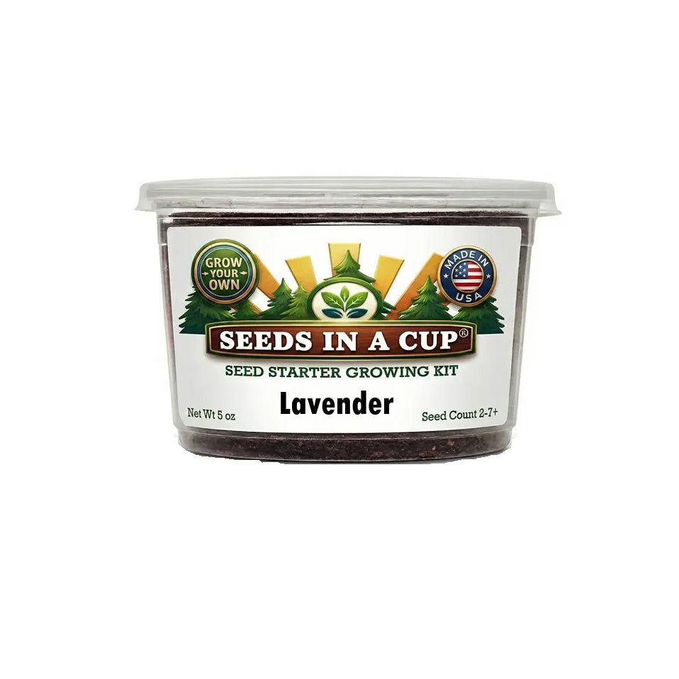 Seeds in a Cup lavender seed starter growing kit on a white background showing easy growth 