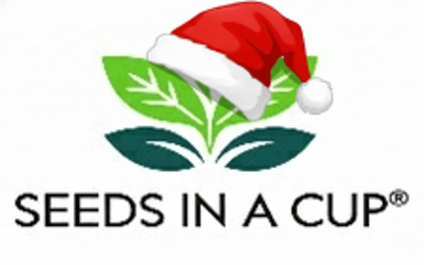 Logo with Santa Hat