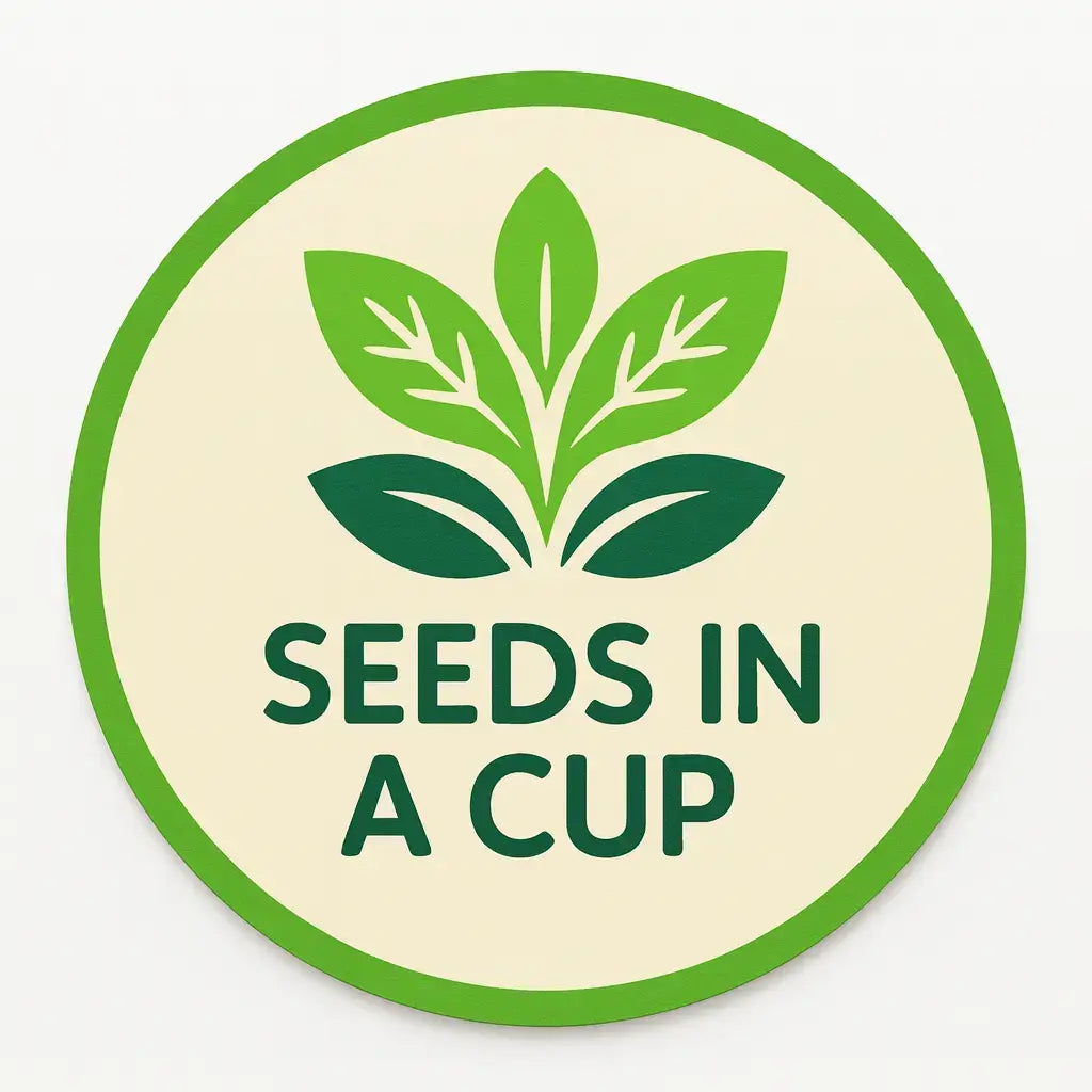 Healthy Collard Greens (Brassica oleracea var. viridis) seedling growing in a Seeds In A Cup recyclable planter. Demonstrates successful germination using real potting soil and non-GMO seeds.