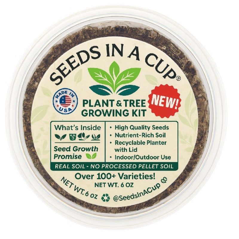 Pistachio Tree (Pistacia vera) seed starter kit contents: premium non-GMO seeds, nutrient-rich loose potting soil, and recyclable planter with humidity lid by Seeds In A Cup - Made in USA.