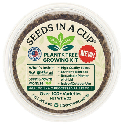 Pistachio Tree (Pistacia vera) seed starter kit contents: premium non-GMO seeds, nutrient-rich loose potting soil, and recyclable planter with humidity lid by Seeds In A Cup - Made in USA.