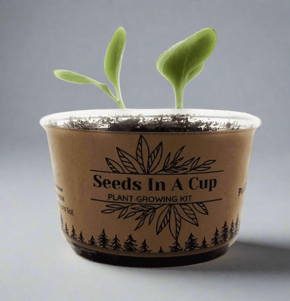 Mystery Plant Grow Kit: Surprise Plant Seeds In A Cup® - We Pick, You Grow! Seed Germination Kit grow kit