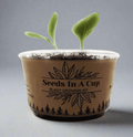 Mystery Plant Grow Kit: Surprise Plant Seeds In A Cup® - We Pick, You Grow! Seed Germination Kit grow kit