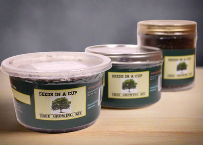 Olive Tree | Seed Starter Grow Kit | Seeds In A Cup® Tree Seed Starter Kit grow kit by SEEDS IN A CUP -