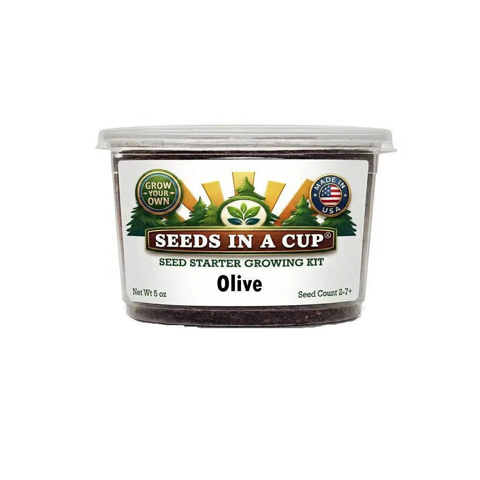 Seeds in a Cup olive seed starter growing kit on a white background