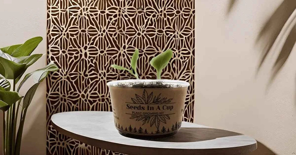 Onion  Plant Seed Starter Grow Kit Top-rated seed starter kit – grow herbs, vegetables, and trees