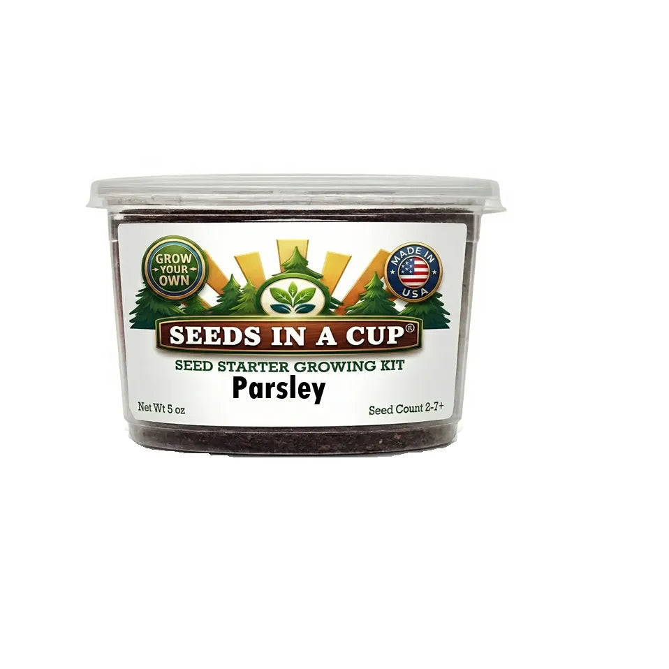 Official Parsley (Petroselinum crispum) Seed Starter Kit by Seeds In A Cup. Features real potting soil and USA-sourced seeds for indoor gardening.