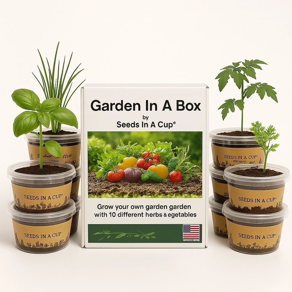 Seed Germination KitSeeds In A Cup® | Plant & Tree Seed Starter Grow Kits Seeds In A Cup®2