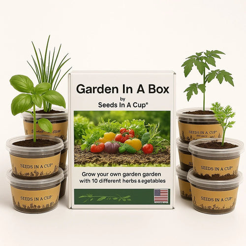 Seed Germination KitSeeds In A Cup® | Plant & Tree Seed Starter Grow Kits Seeds In A Cup®2