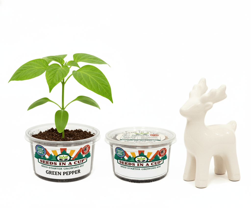 Seed Germination KitSeeds In A CupSeeds In A Cup®Banana Pepper6