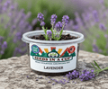 Seed Germination KitSeeds In A CupSeeds In A Cup®1