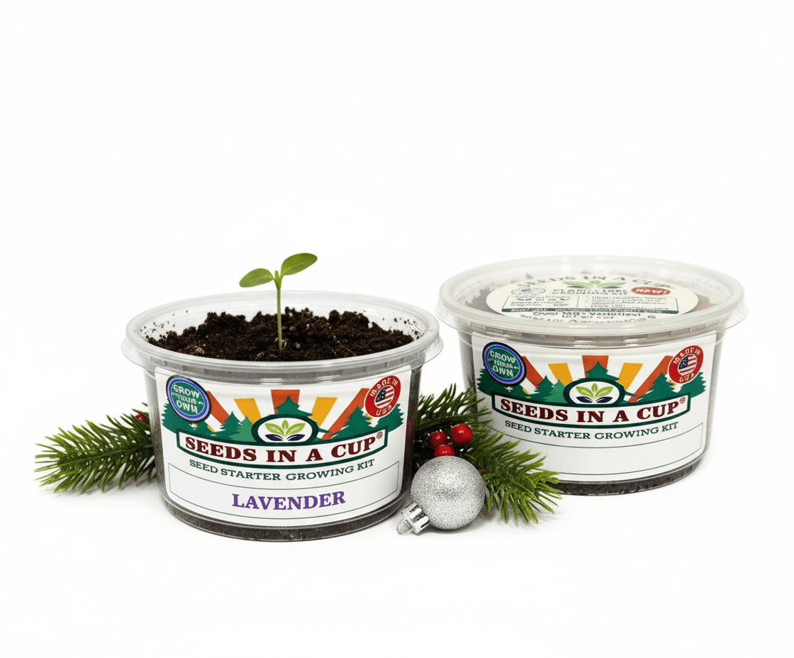lavender seed kit Plant Grow Kit