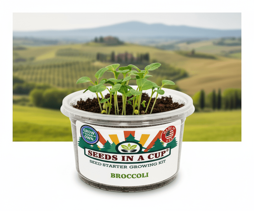 Seed Germination KitSeeds In A CupSeeds In A Cup®6
