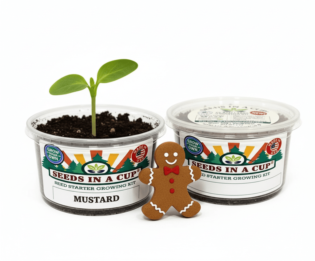 Seed Germination KitSeeds In A CupSeeds In A Cup®11