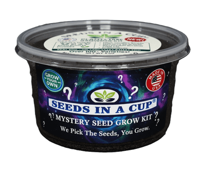 Seed Germination KitSeeds In A Cup