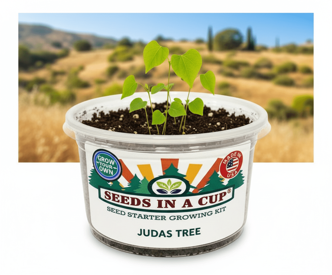 Seed Germination KitSeeds In A CupSeeds In A Cup®7