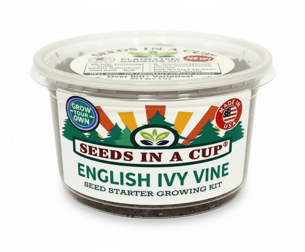 Seed Germination KitSeeds In A CupSeeds In A Cup®6