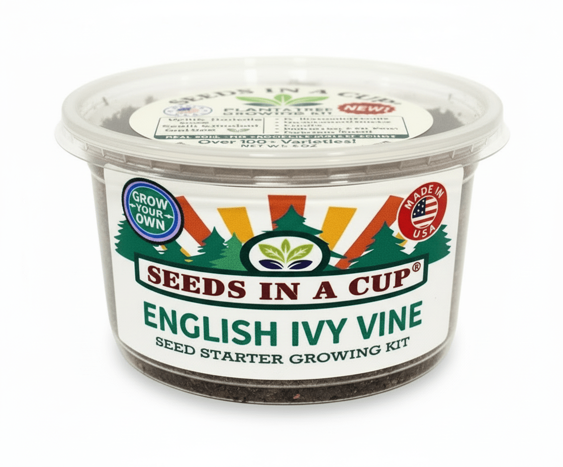 Seed Germination KitSeeds In A CupSeeds In A Cup®6