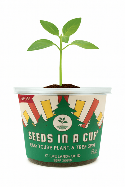 Seed Germination KitSeeds In A Cup