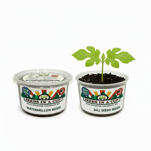 Seed Germination KitSeeds In A CupSeeds In A Cup®1