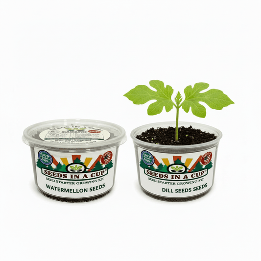 Seed Germination KitSeeds In A CupSeeds In A Cup®1