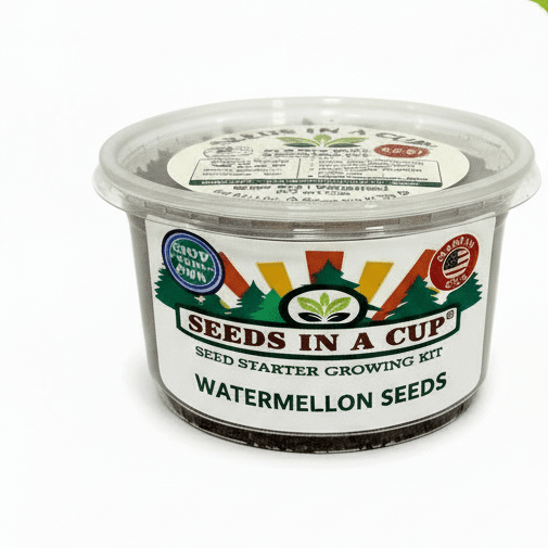 Showing off the two successfully grown celery growing kits  with a beautiful plant inside. Seeds In A Cup