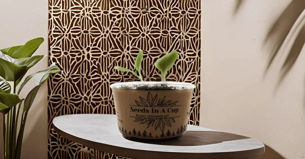 Gardening Kit Seed Germination Kit grow kit Jalapeño Plant Grow from Seed Top-rated seed starter kit grow herbs