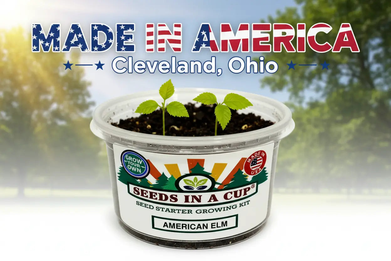 Kids Discovery Garden Kit | Educational STEM Seed Starter