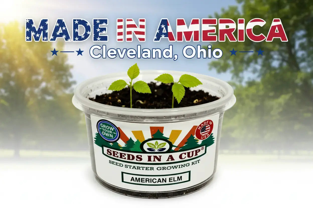 Successful Gourd (Cucurbitaceae) germination in a Seeds In A Cup kit. Proves the effectiveness of real soil and USA-made seeds for indoor growth.