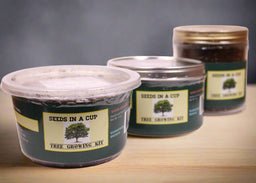 Cedar Tree | Seed Starter Grow Kit | Seeds In A Cup® Tree Seed Grow Kit Plant Grow Kit Tree Grow Kit Seed