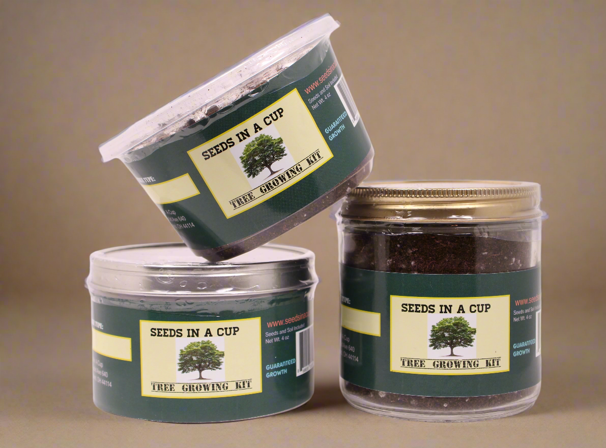 Mahogany Tree | Seed Starter Grow Kit | Seeds In A Cup® - Seeds In A Cup®