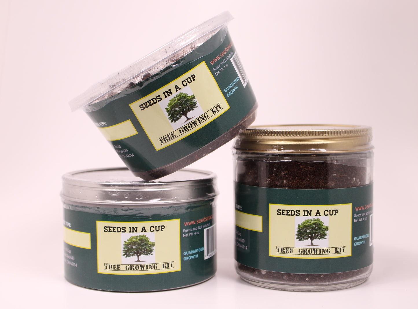 Blackberry | Shrub Seed Starter Grow Kit | Seeds In A Cup® - Seeds In A Cup®