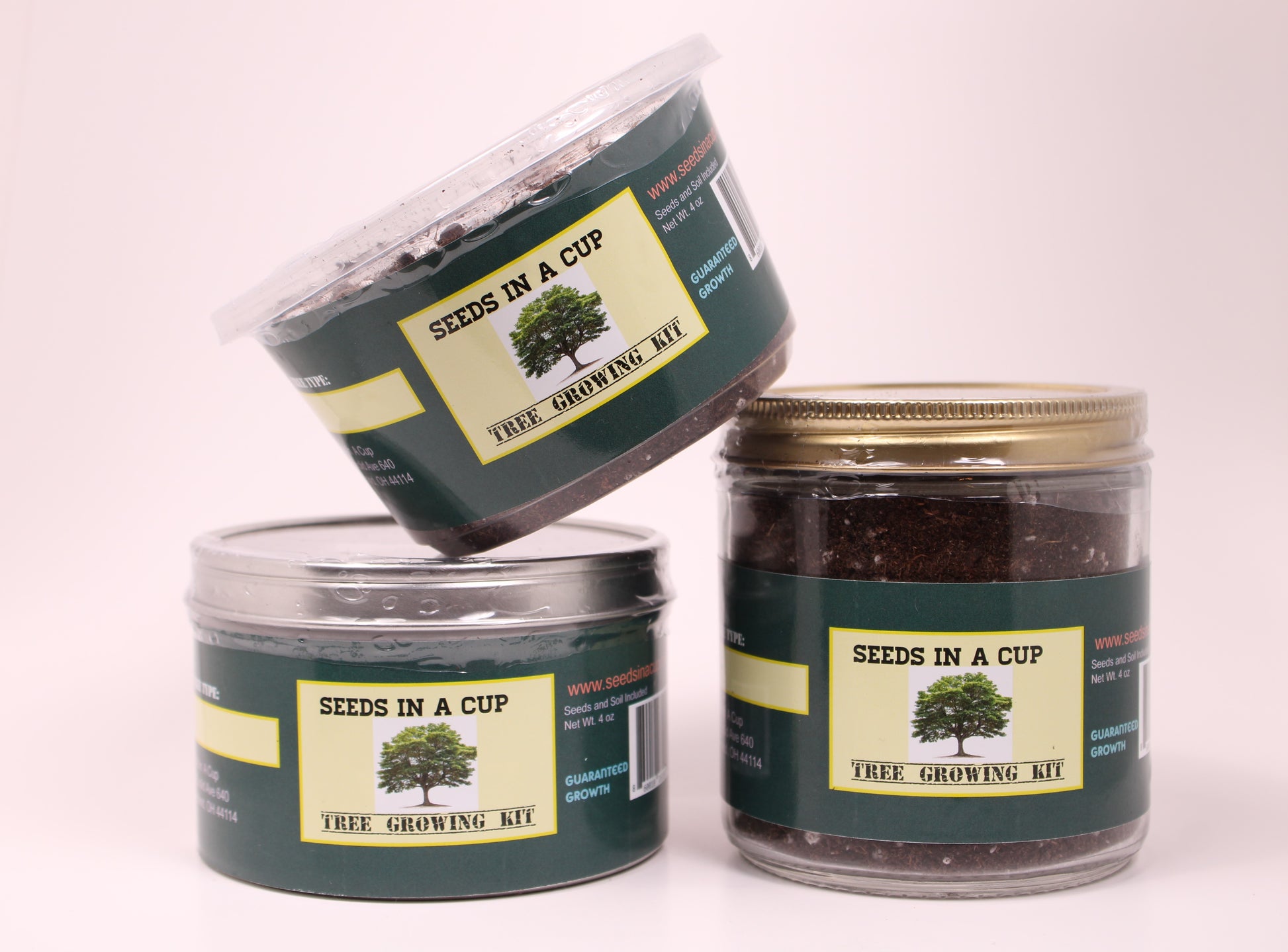 Blackberry | Shrub Seed Starter Grow Kit | Seeds In A Cup® - Seeds In A Cup®