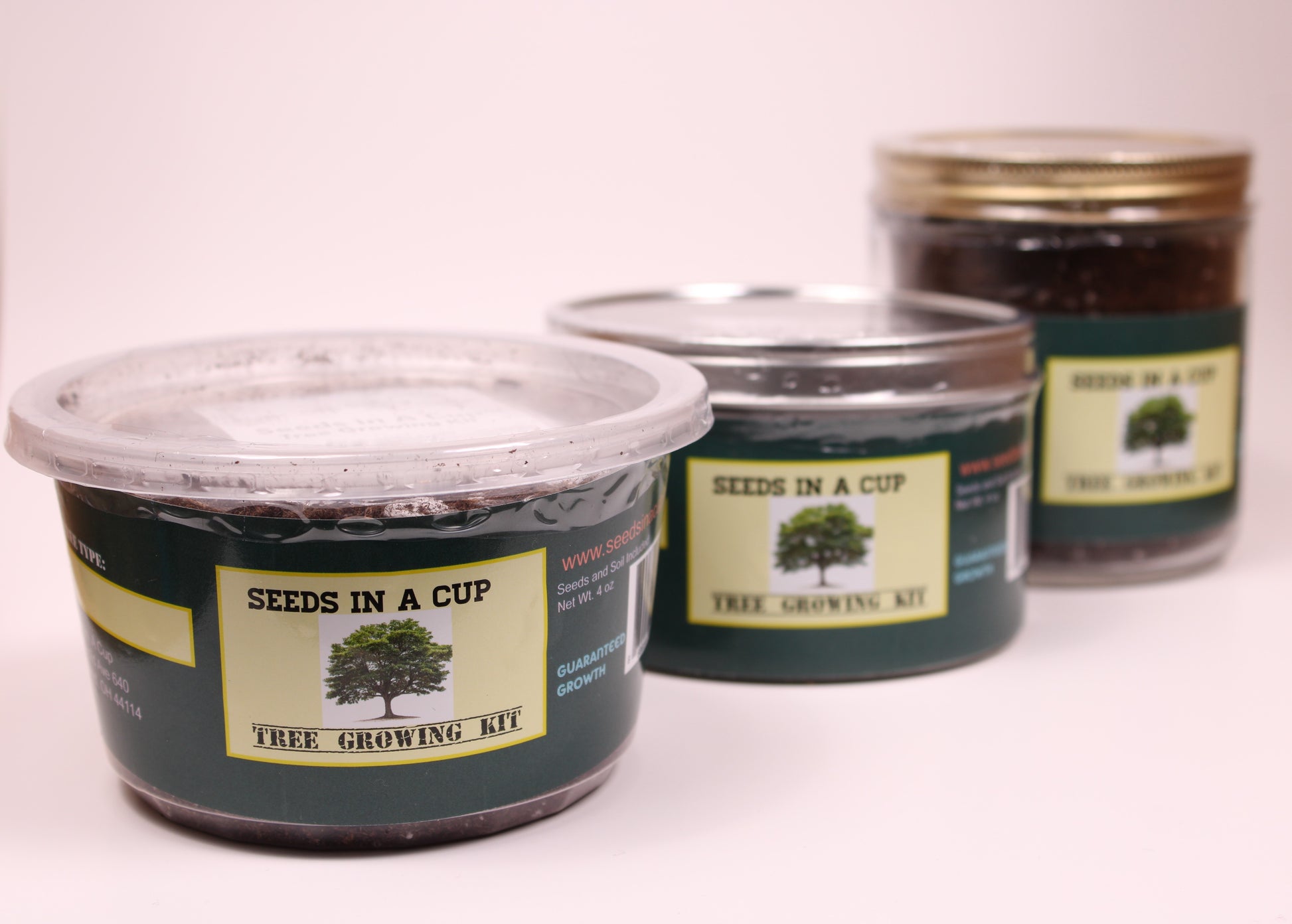 Kiwi Vine |  Seed Starter Grow Kit  |  Seeds In A Cup® - Seeds In A Cup®
