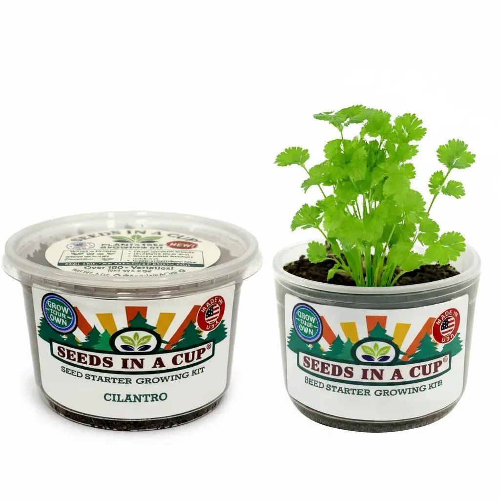 Papaya Grow Kit with Established Root Systems in Seeds In A Cup: Evidence of high success rates in our papaya kit, showcasing healthy seedlings thriving in sustainable, recyclable planters under a professional moisture-lid system.