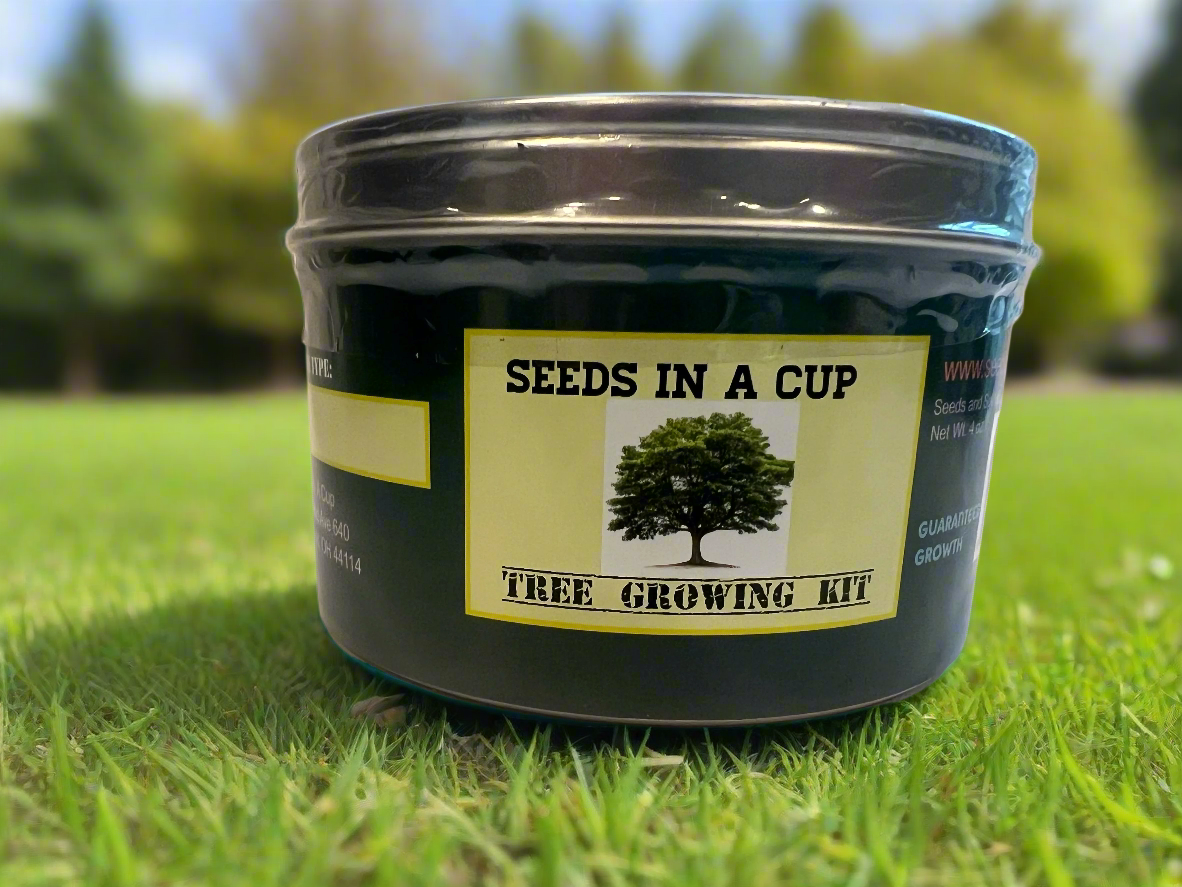 Herb Seed Starter Kit | Seeds In A Cup® | Grow Fresh Herbs Effortlessly At Home - Seeds In A Cup®