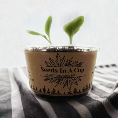 American Ash | Tree Grow Kit  |  Seeds In A Cup® - Seeds In A Cup®