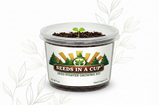 Seeds In A Cup Loofah Sponge Gourd (Luffa aegyptiaca) Grow Kit - Complete seed starter with recyclable planter, non-GMO seeds, and real potting soil. Hand-assembled in Cleveland, Ohio, USA.