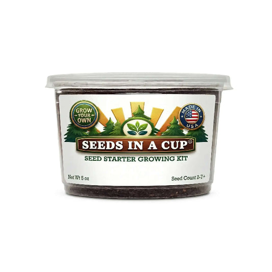 American Elm Tree (Ulmus americana) plant thriving after transplant from Seeds In A Cup starter kit. Proof of high germination rates and 100% Growth Guarantee quality.