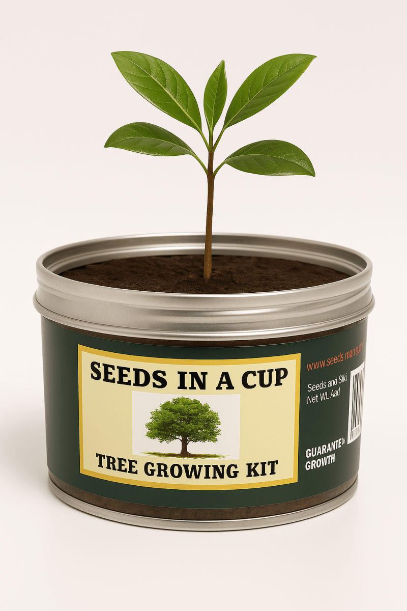 Southern Magnolia Tree | Seed Starter Grow Kit | Seeds In A Cup® Tree Seed Starter Kit Plant Grow Kit Tree Grow Kit Seed