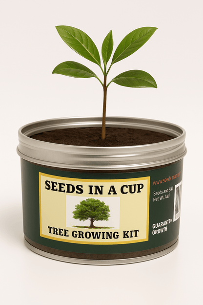 Southern Magnolia Tree | Seed Starter Grow Kit | Seeds In A Cup® Tree Seed Starter Kit Plant Grow Kit Tree Grow Kit Seed