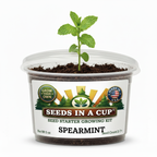 Spearmint Seed Starter Kit with Growing Sprout
