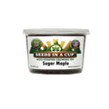 Sugar Maple Tree Grow Kit by Seeds In A Cup® — Made in USA beginner tree‑growing kit with non‑GMO Sugar Maple seeds, soil, and planter; perfect for indoor seed starting in the Midwest, Northeast, and cold‑climate regions; great eco‑friendly gift for families, classrooms, and nature lovers.