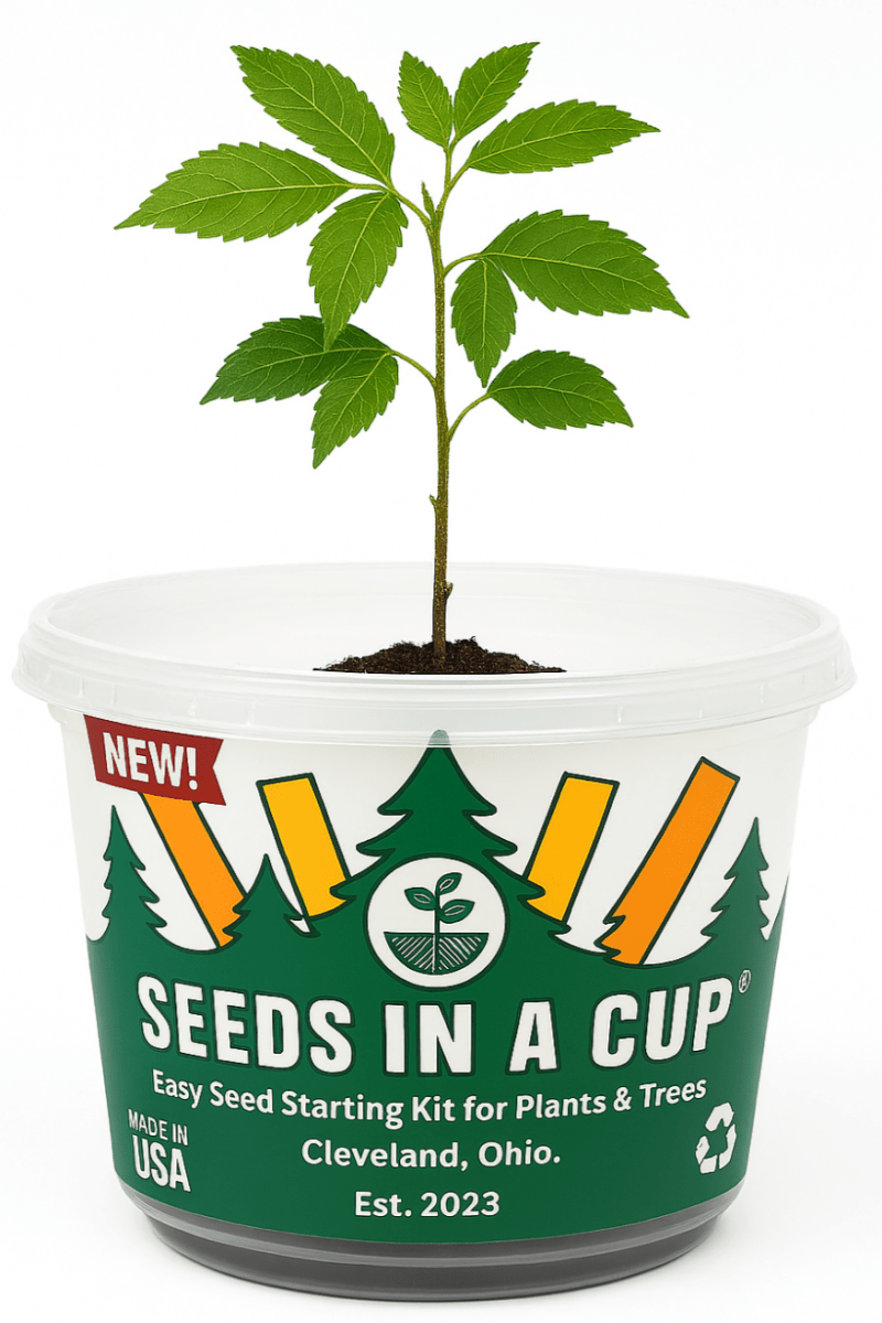 Seeds In A Cup® herb starter kit – basil, mint, parsley for indoor gardening spinach