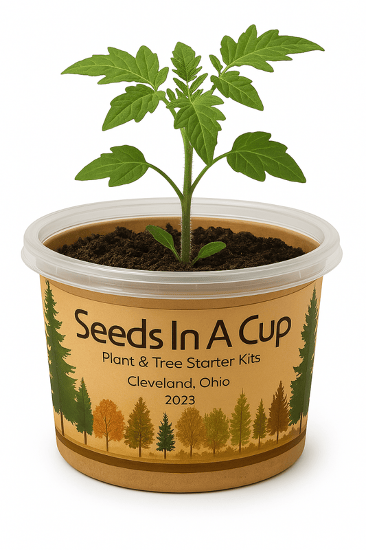Thyme | Plant Seed Starter Grow Kit | Seeds In A Cup® Seed Germination Kit grow kit by Seeds In A Cup - Plant GRow Kit Tree GRow Kit Seed