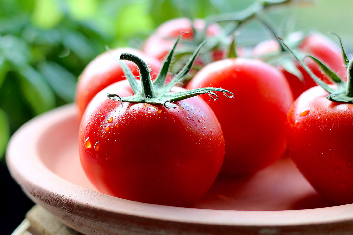 fresh-tomatoes-with-drops-of-water